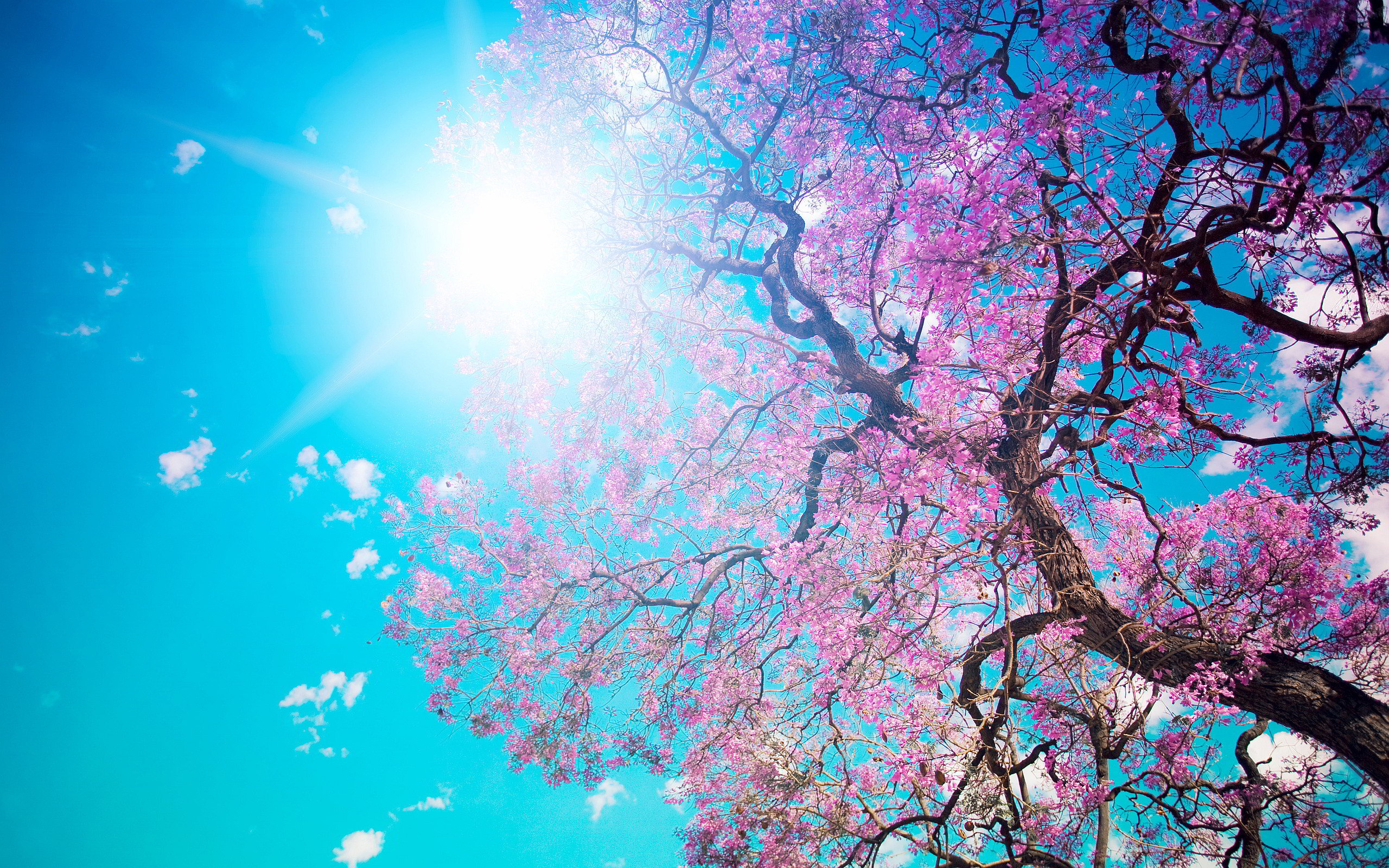 Spring Detox Yoga Retreat - Newquay Cornwall - Blog Example